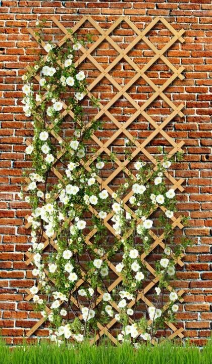 Как сделать трельяж из дерева своими руками