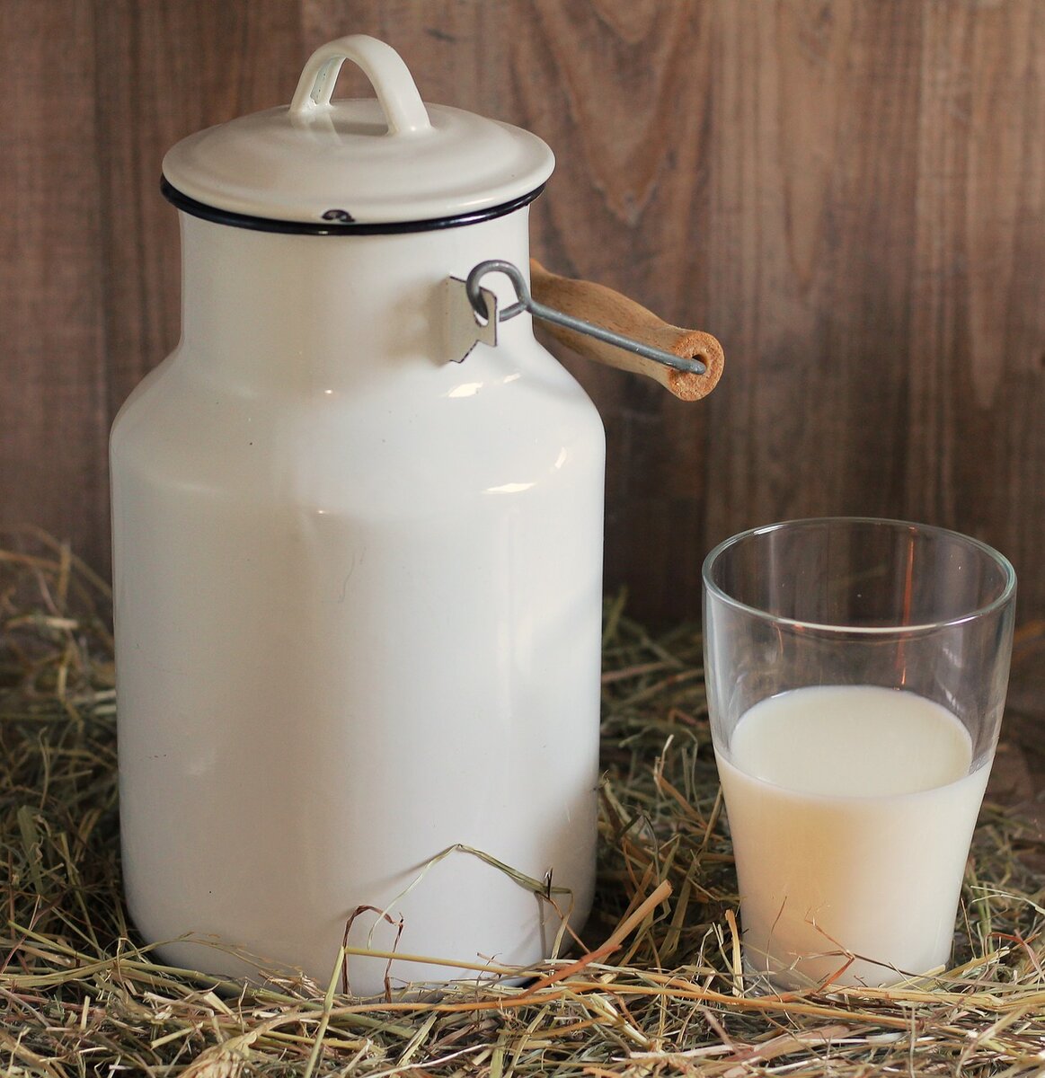 козье молоко помогает нормализовать уровень холестерина