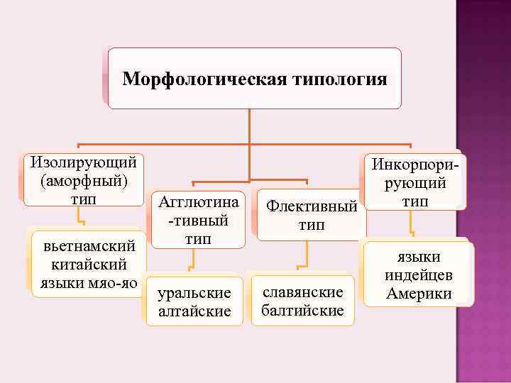 Основные виды языков