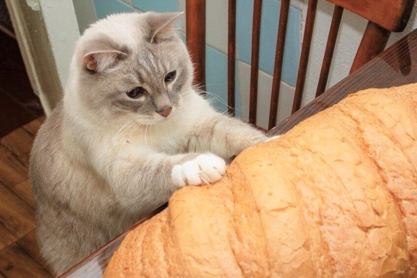 Фото из интернета.