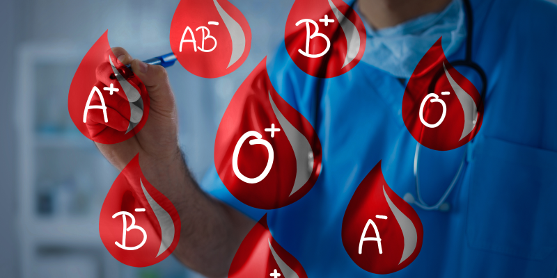 Группа крови обозначается буквами A, B, AB и цифрой 0.