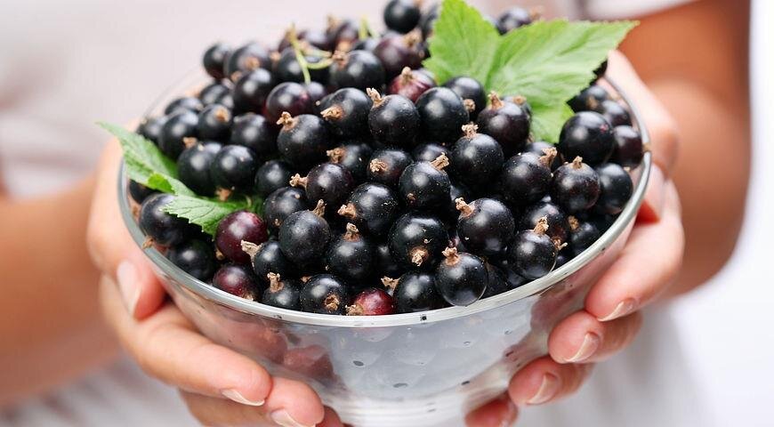 https://www.gastronom.ru/