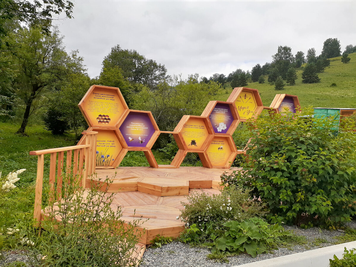 Новый стенд с фактами о пчёлах