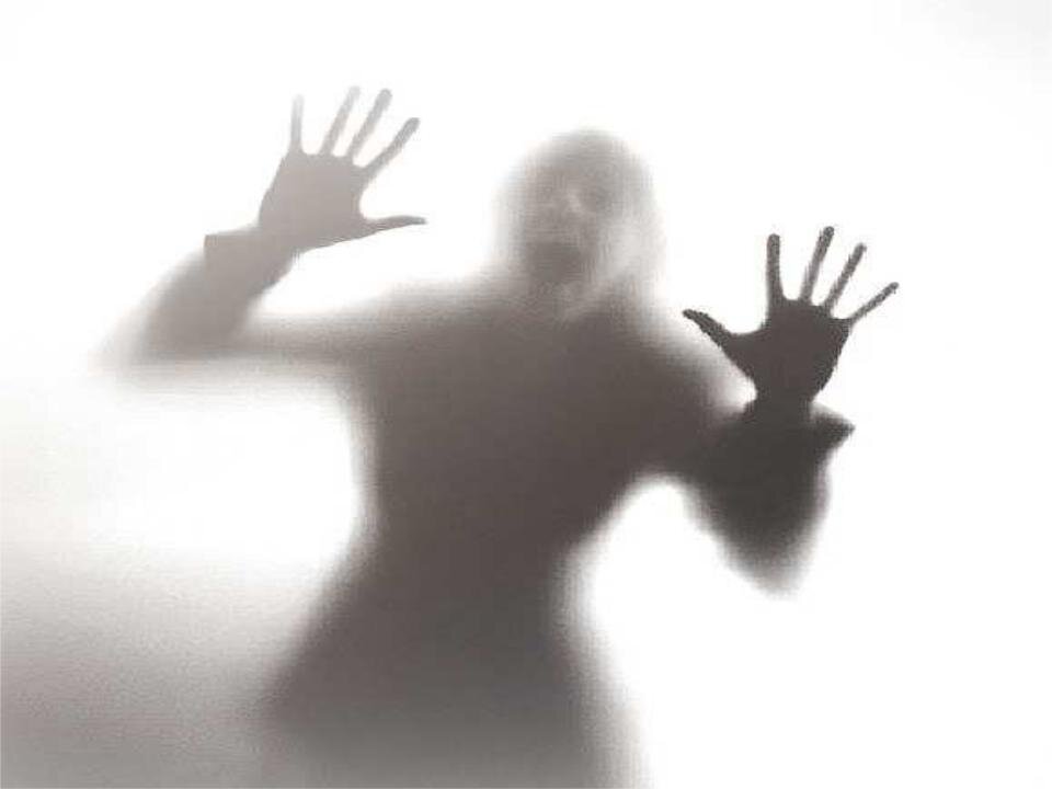 По результатам рассмотрения дел на внесение в РНП