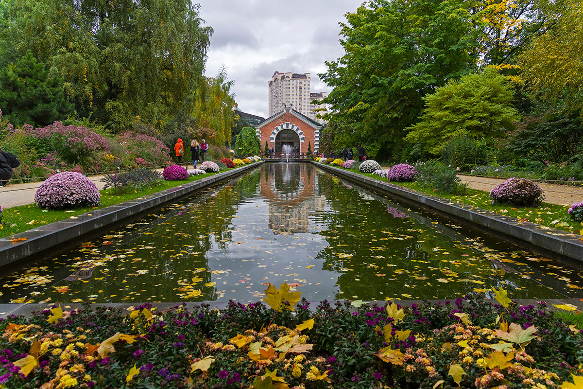 5 оранжерей в Москве, где будет интересно не только ценителям ботаники