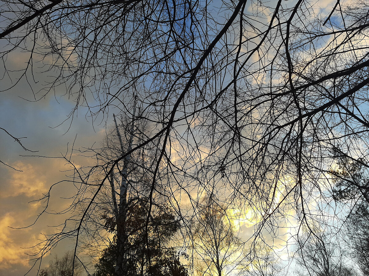 Фото из личного архива автора