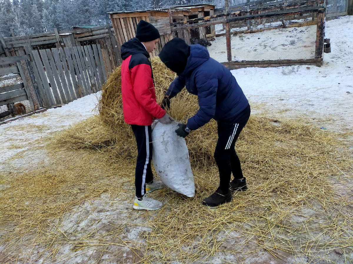 Солому убрали