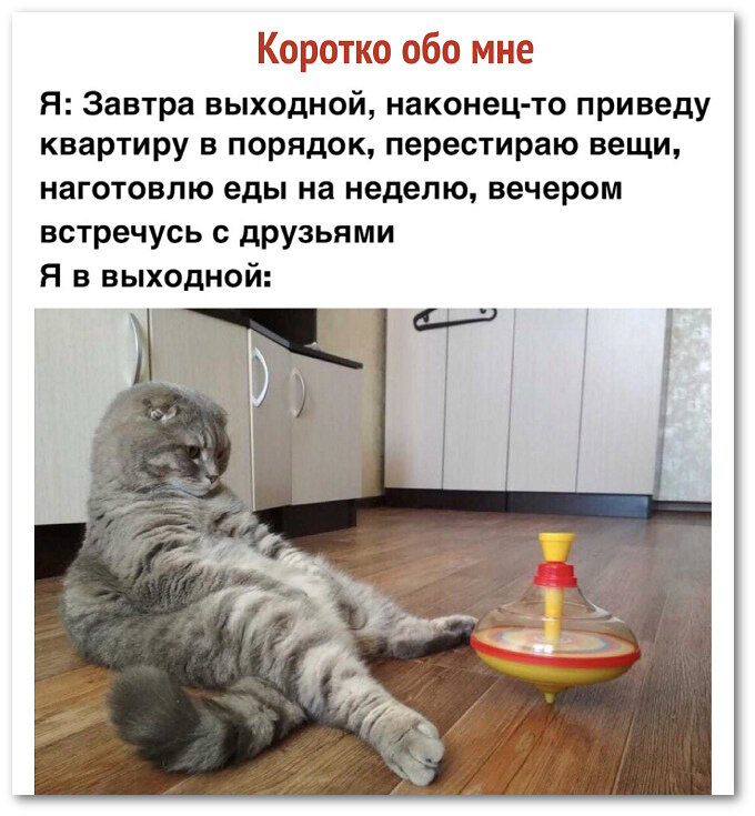 А я обычно еще и сплю половину выходного дня.😂😂😂