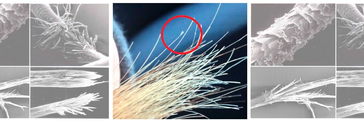 Посеченные кончики волос. Кончик волоса белый что это. Секущиеся кончики у мужчин. Кончик волоса белый что это. Белые точки на волосах на концах.