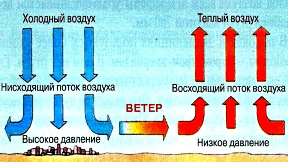 Картинка с сайта: tainaprirody.ru