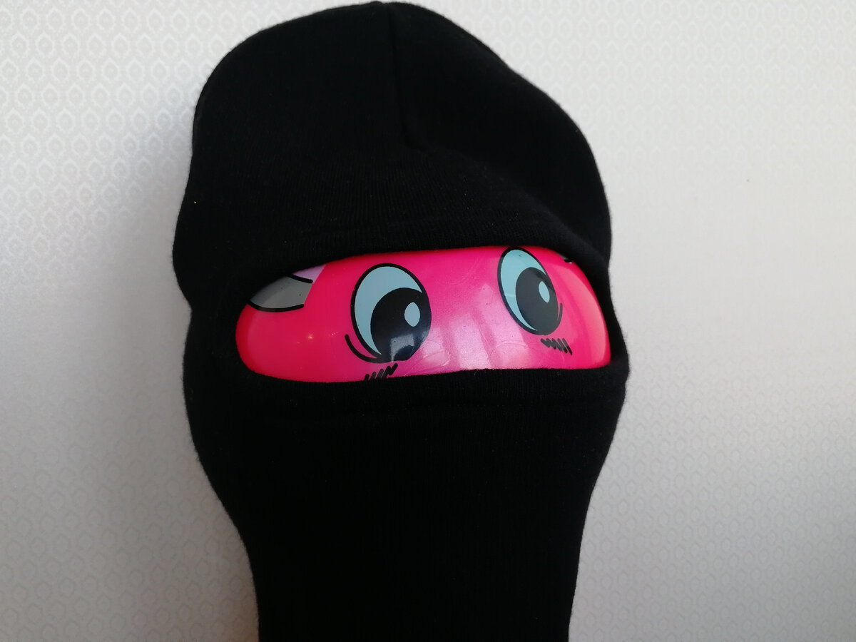 Злостный мошенник. Фото автора.