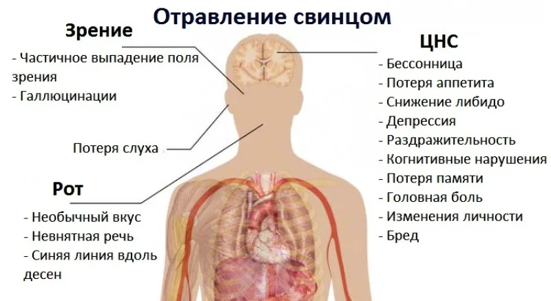 Отравление у собаки: причины, симптомы, виды и лечение