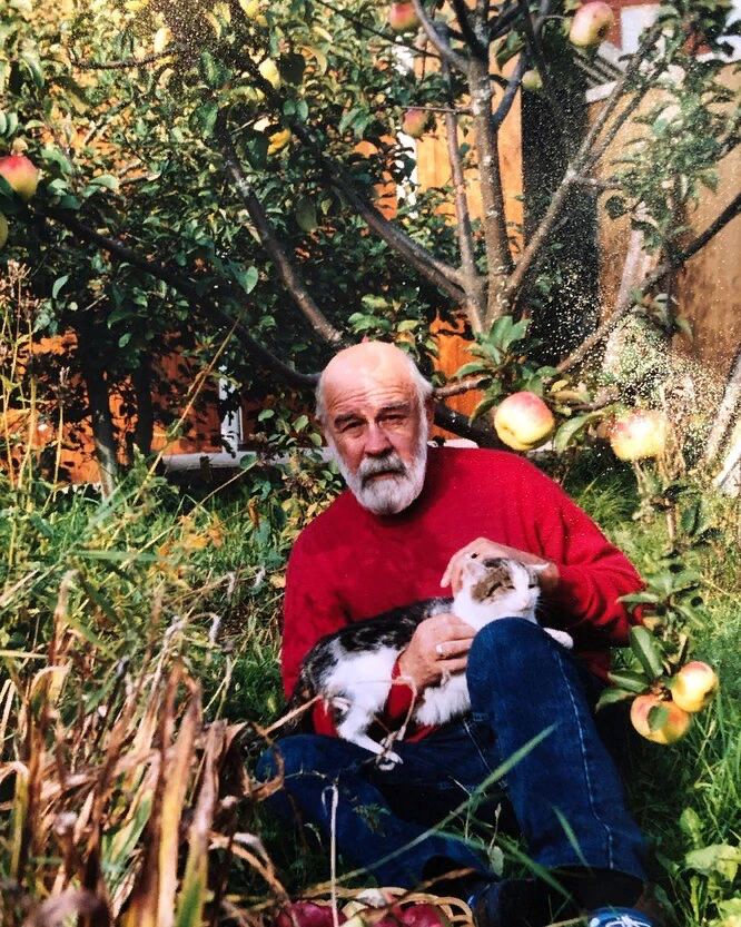 Лев Борисов. Заимствовано: https://www.goodhouse.ru/obshchestvo/novosti/schaste-chto-ty-est-valeriy-yaryomenko-pozdravil-syna-s-12-letiem/