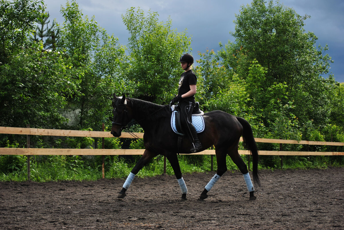 Посадка на лошади это основной инструмент, эффективное использование которого позволит гармонично взаимодействовать с лошадью. Фото из личного архива.