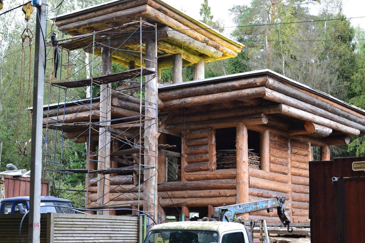 Дом в лесу (фото автора)