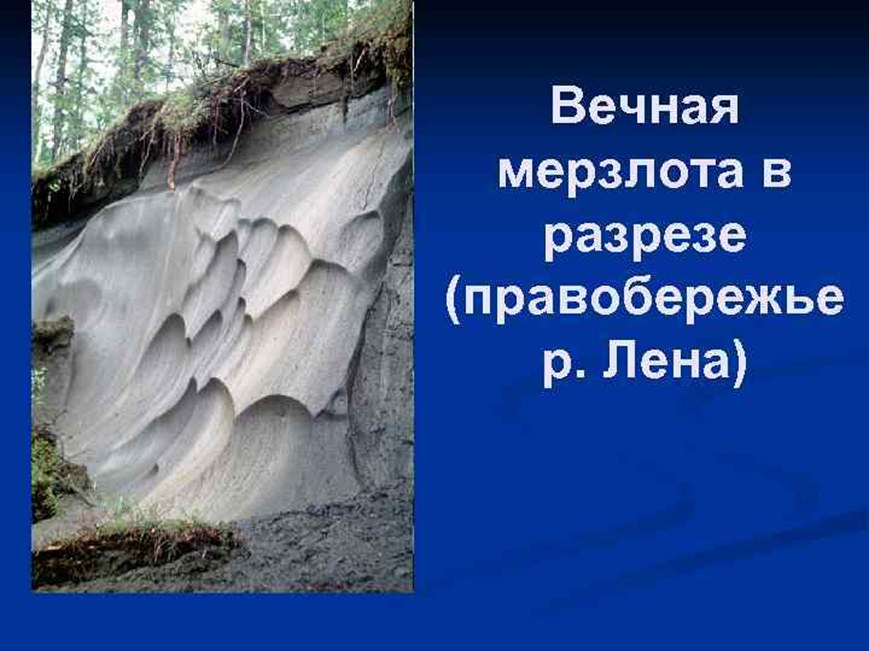 Вечная мерзлота занимает не менее четверти. Вечная мерзлота Северо Восточной Сибири. Вечная мерзлота в тайге. Восточная Сибирь Вечная мерзлота. Вечная мерзлота в Северной Америке