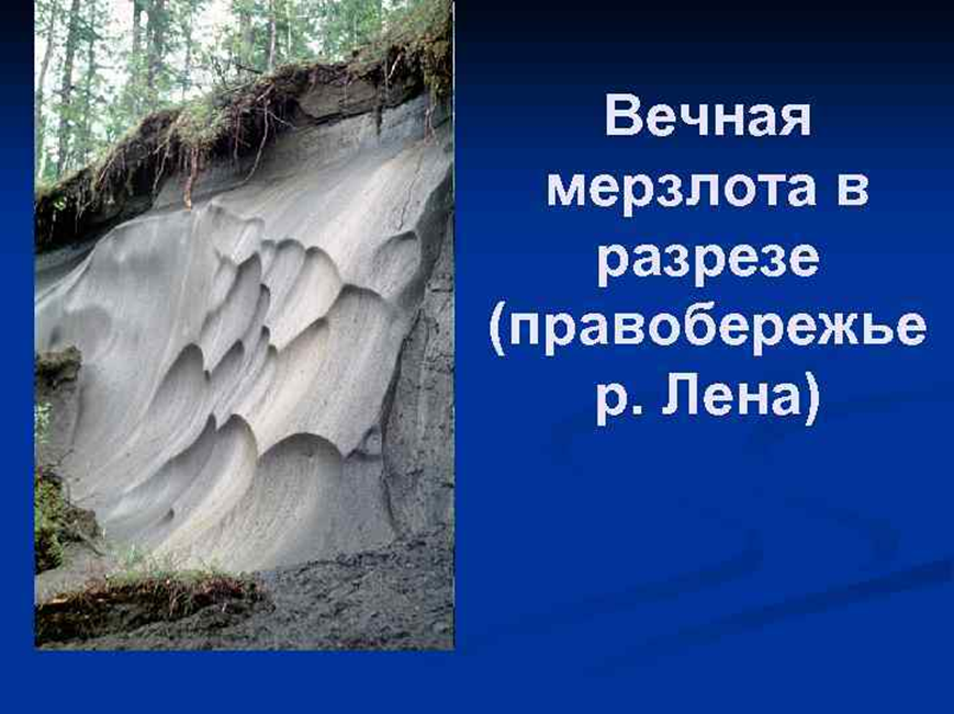 Вечная мерзлота занимает не менее. Вечная мерзлота Северо Восточной Сибири. Вечная мерзлота в тайге. Восточная Сибирь Вечная мерзлота. Вечная мерзлота в Северной Америке.