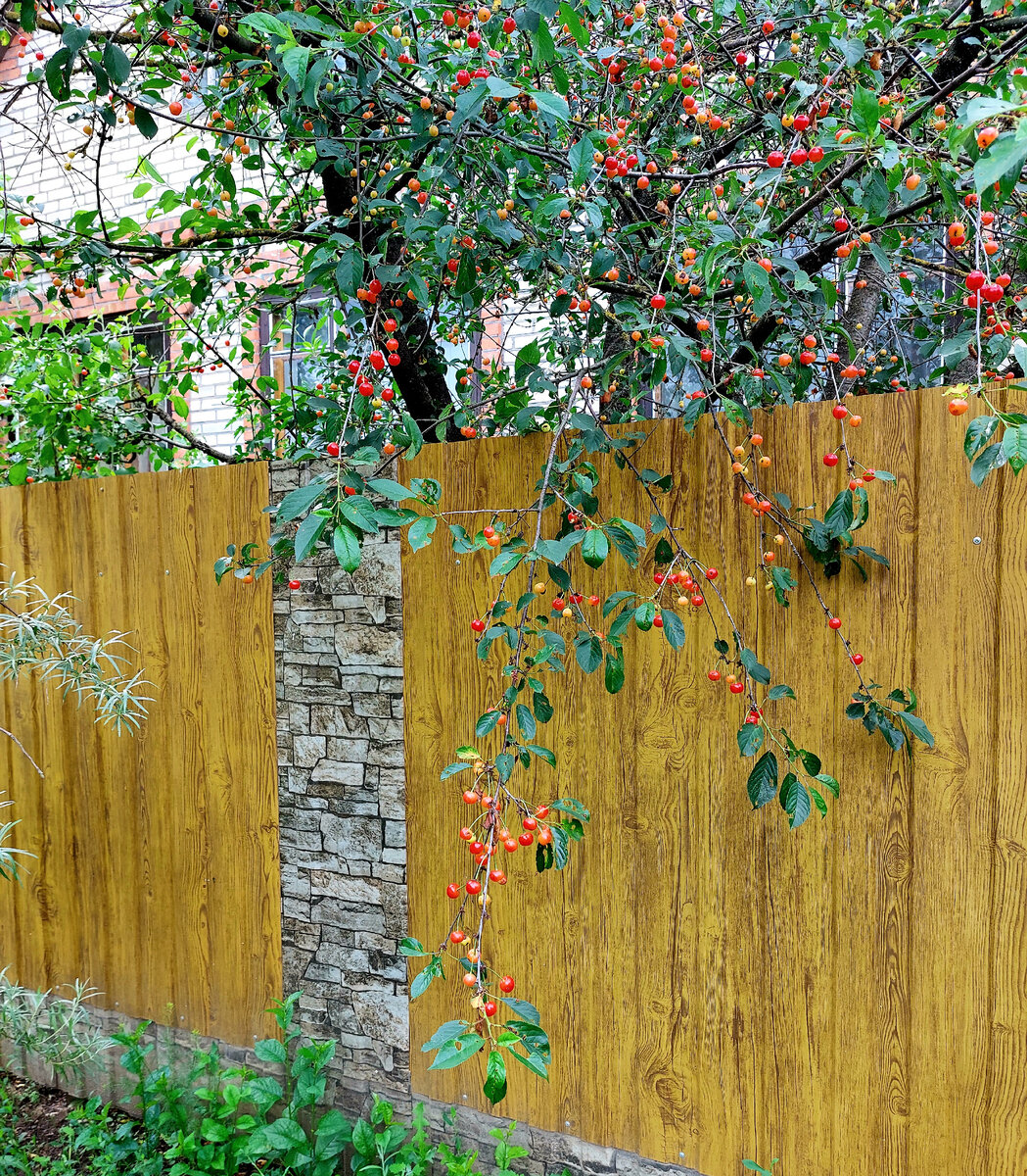 Фото автора домик в деревне