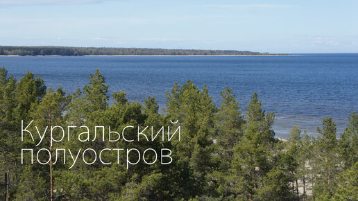 Зарисовка природы Кургальского полуострова. Лужская губа Финского залива и долина реки Выбья