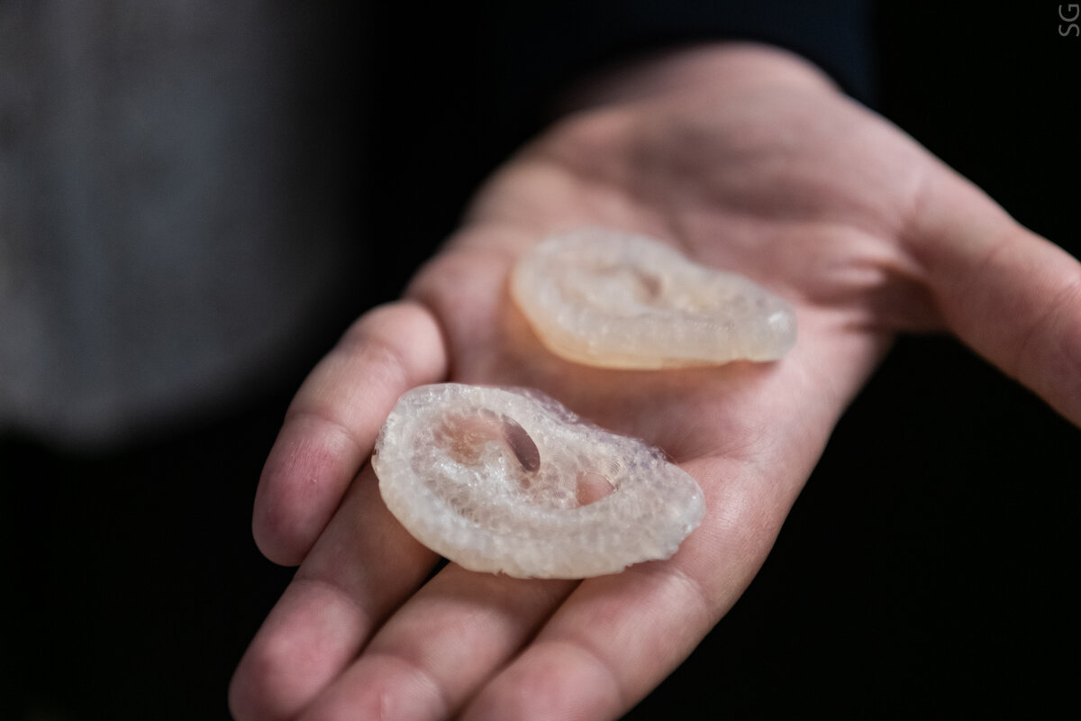 3D-модель ушных раковин, созданная учащимися НИТУ «МИСиС» и РГУ им. А.Н. Косыгина