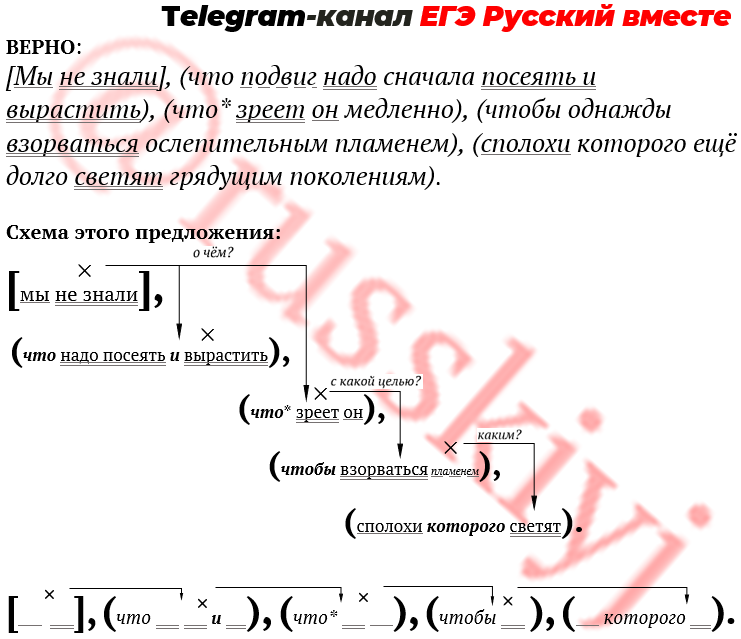 Егэ русский задание 19 тесты