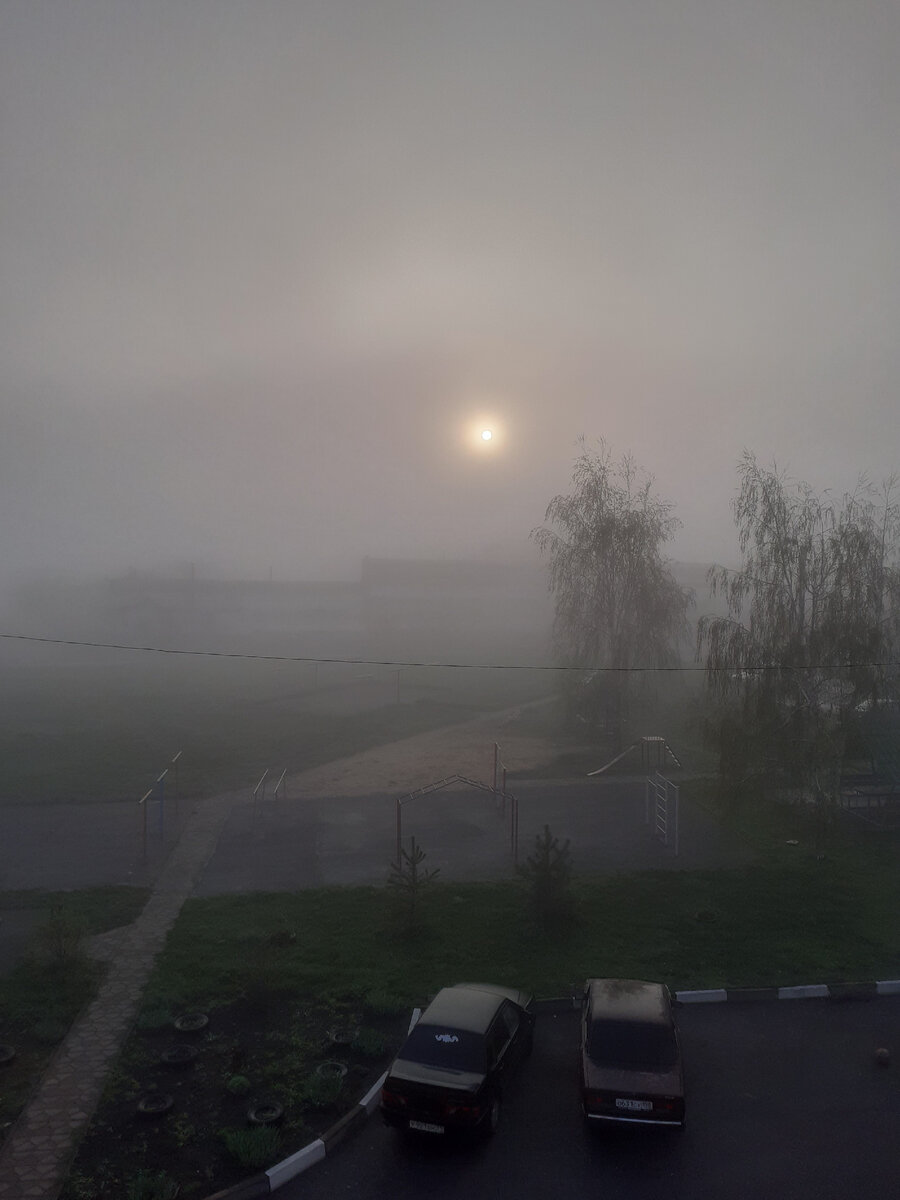 Личное фото.