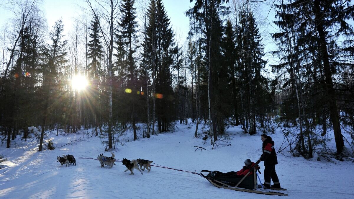    Федор Конюхов отправился в экспедицию на собаках© РИА Новости / Рамиль Ситдиков