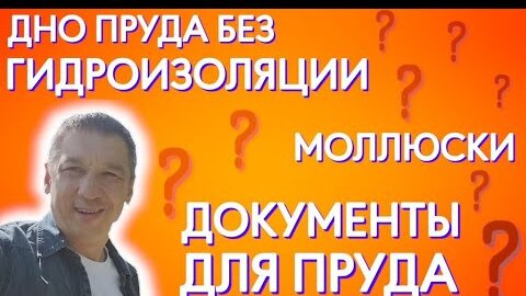 Гидроизоляция прудов и водоемов своими руками. Как правильно сделать гидроизоляцию пруда