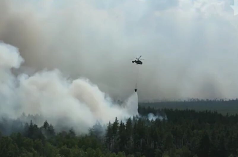    Скриншот из видео РЕН ТВ