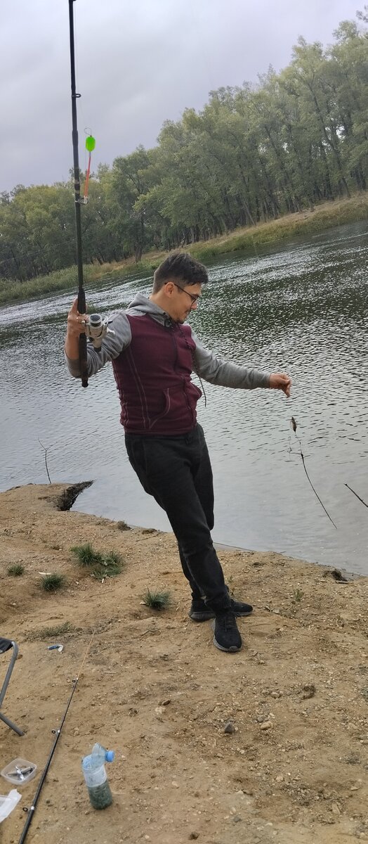 Мой личный директор