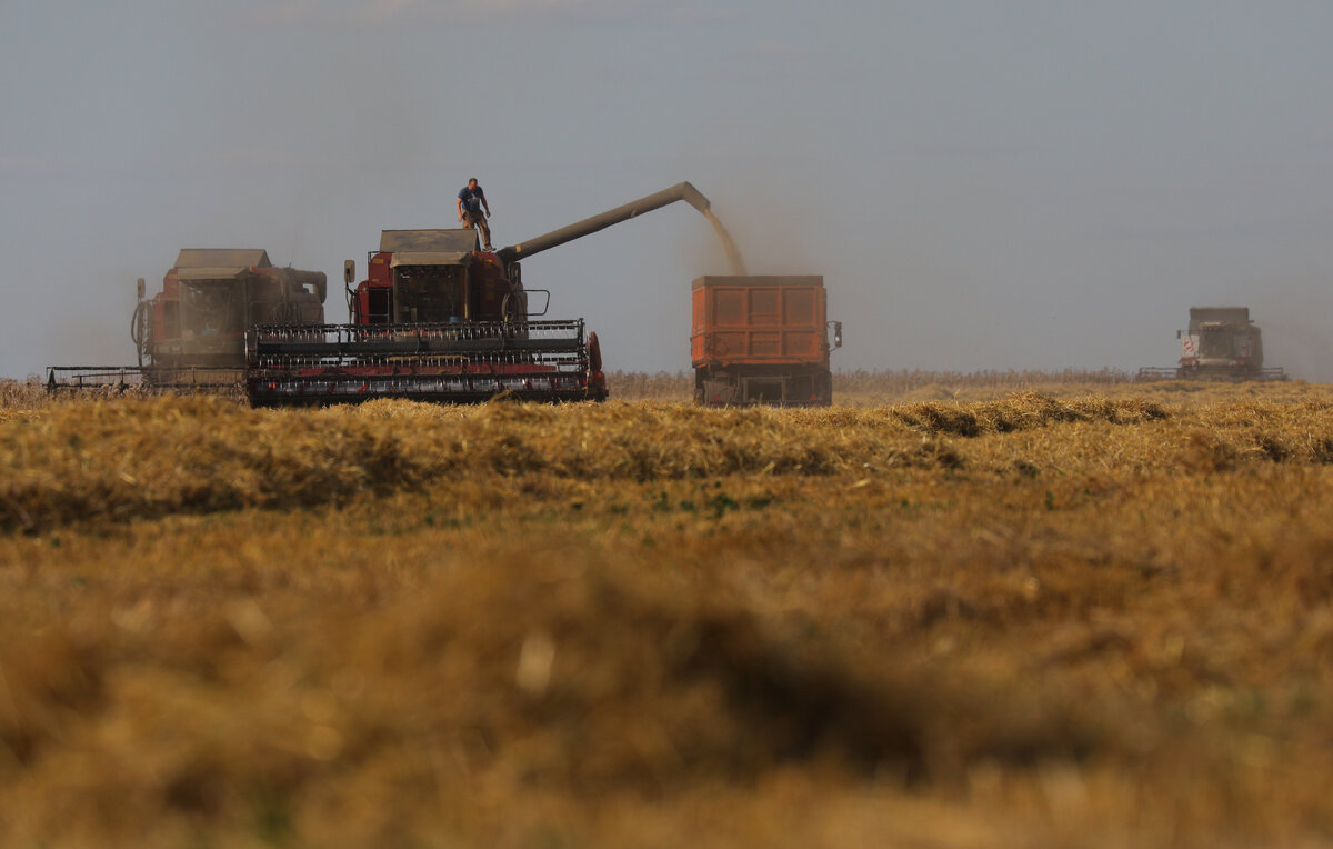 Александр Рюмин/ТАСС