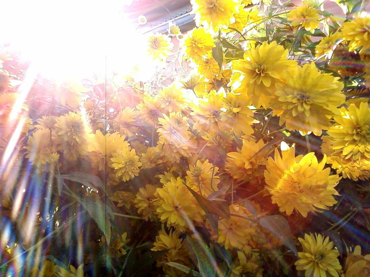 vsegda-pomnim.com