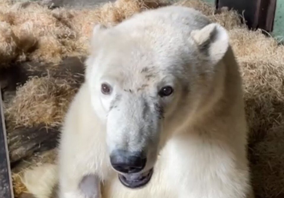     Фото: телеграм-канал Светланы Акуловой