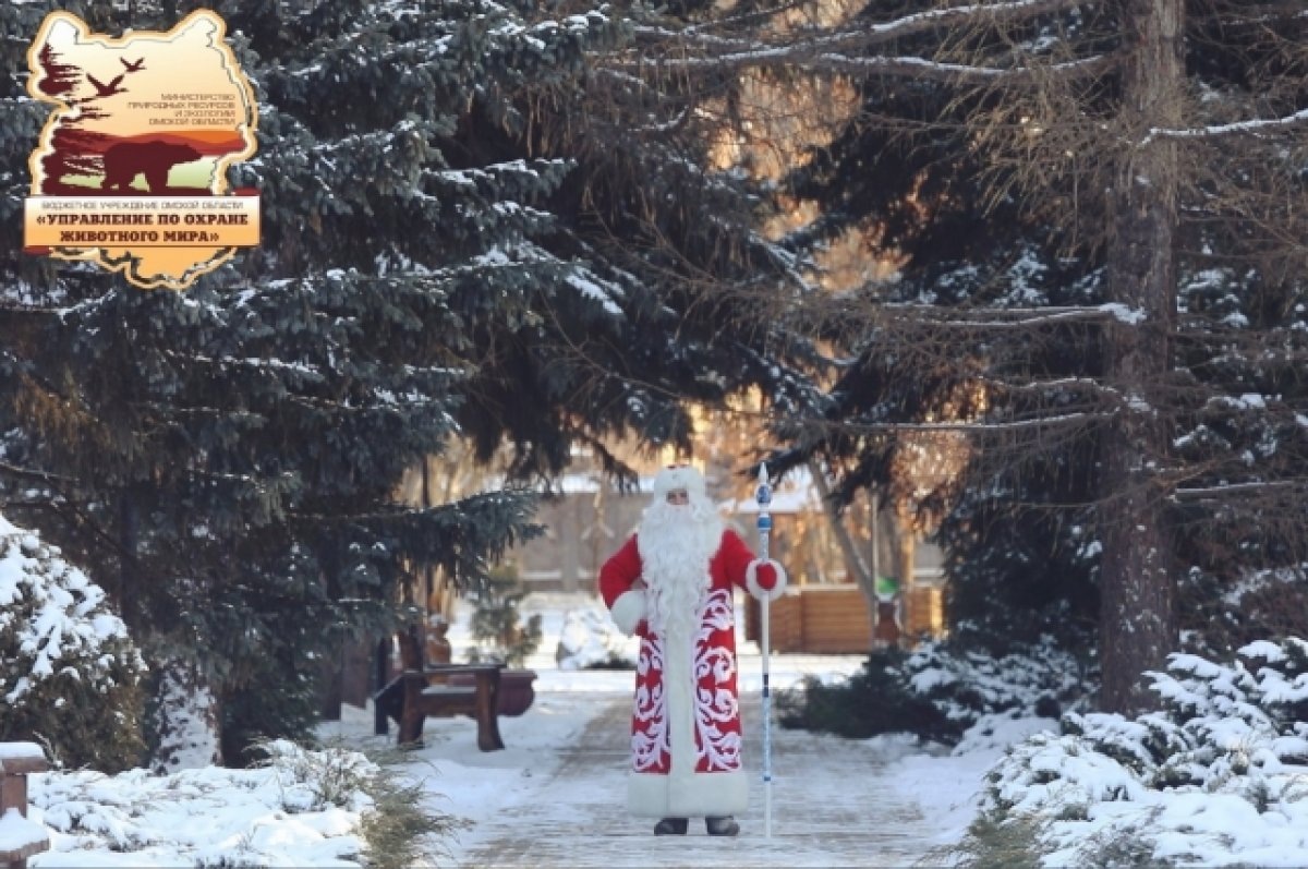    В Омске готовятся к открытию резиденции Деда Мороза