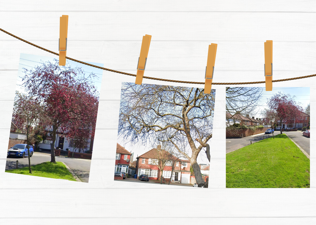 Orchard Gate, Colinale, London