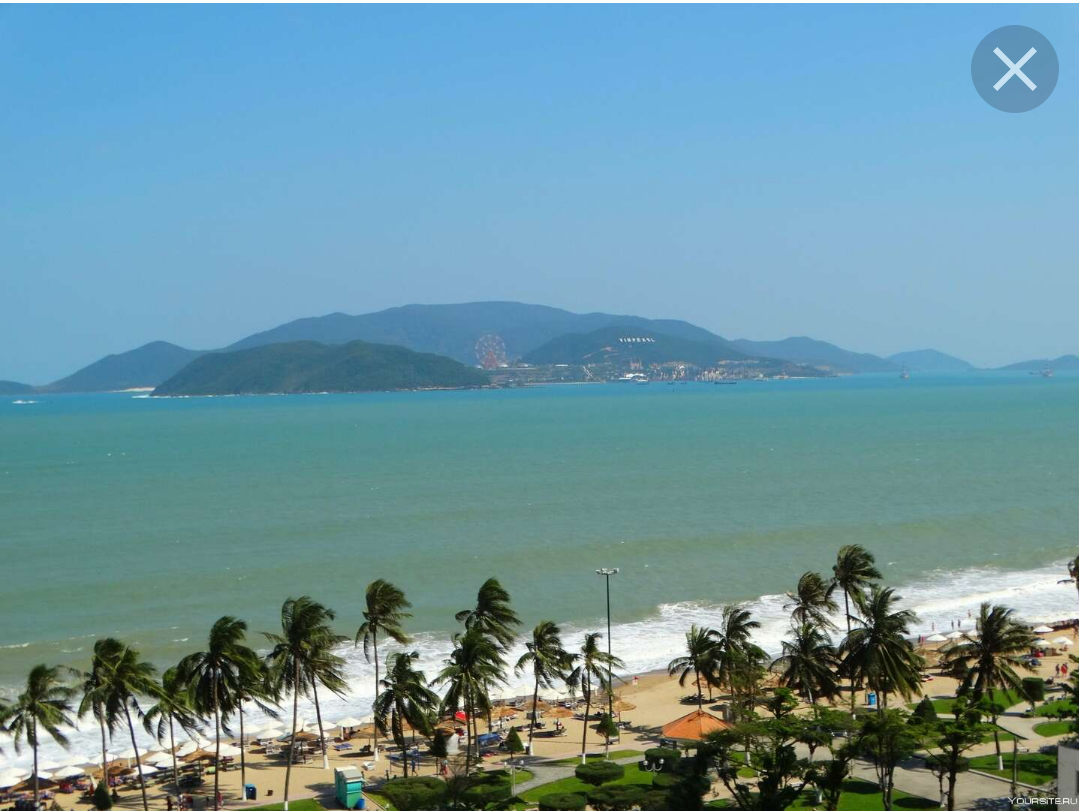 Яндекс картинки