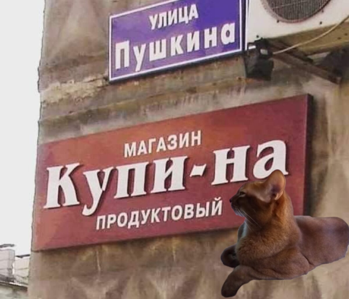 Фото из открытых источников интернета, Рудик мой