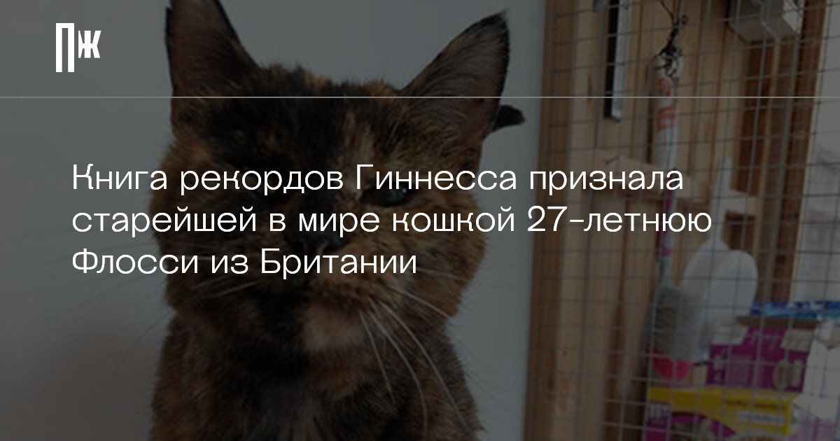     Книга рекордов Гиннесса признала старейшей в мире кошкой 27-летнюю Флосси из Британии