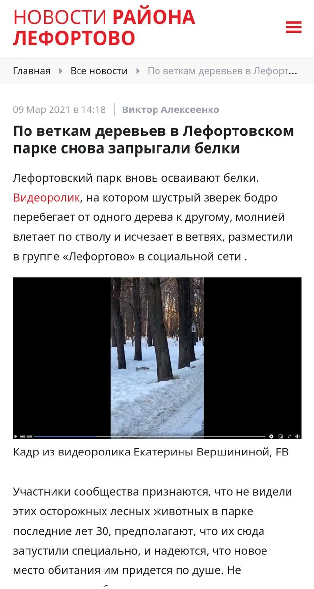 Новости района - в парке теперь живут белки.!