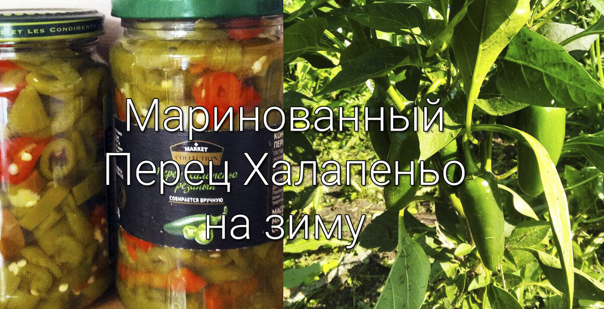 Перец халапеньо маринованный