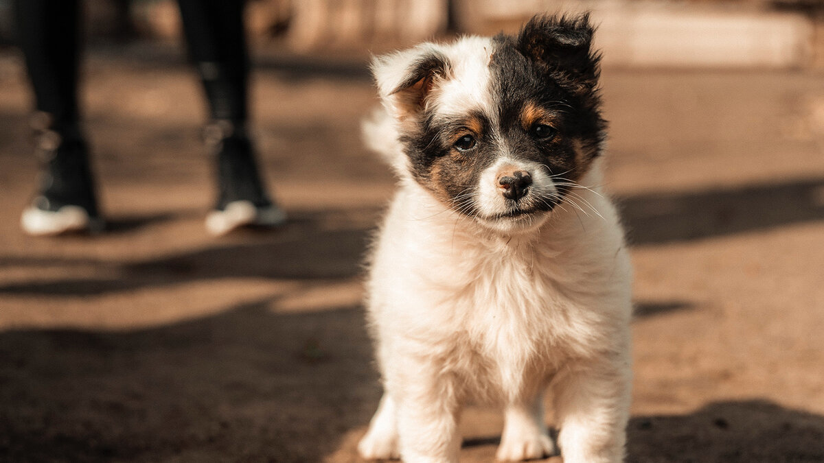 Часто бывает, что причиной отказа становится беспокойство о возможных трудностях. Фото Andrii Olishevskyi/Unsplash