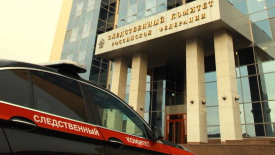    СК РФ заочно предъявил обвинение организатору налетов БПЛА на аэродромы РФ Ирина Петрова