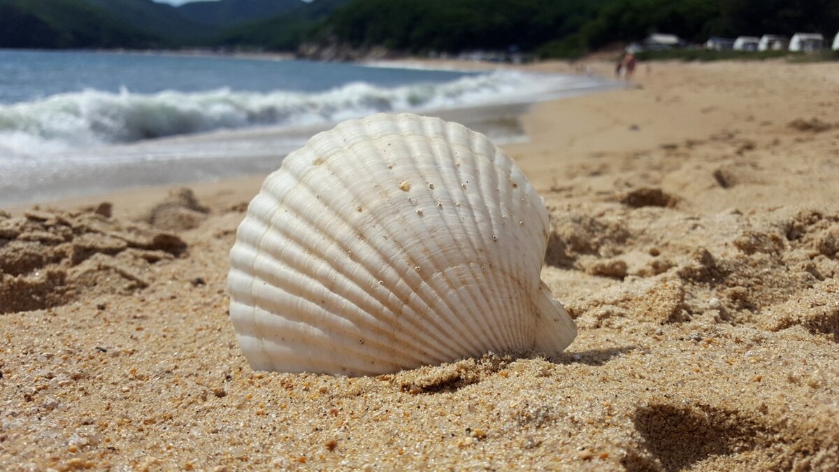     Тема глобального потепления так или иначе периодически обсуждается в СМИ. Климатолог ЮФУ Александр Иошпа рассказал RostovGazeta о климатических особенностях лета 2023 года в Ростовской области.