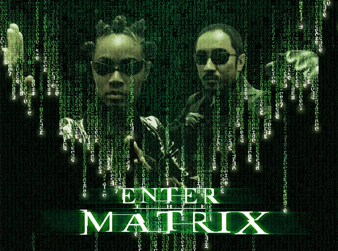 Enter the Matrix: Возвращение в мир Матрицы