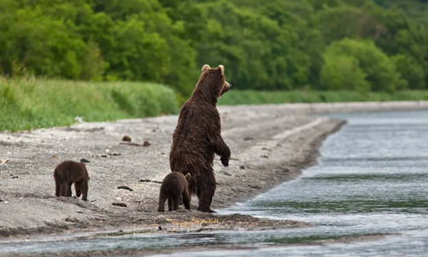 Так уж получается, что когда мы появляемся на свет, Бог каждого из нас наделяет каким-то даром. У Николая этот дар проявлялся в любви к животному, природе с самого раннего детства.-5