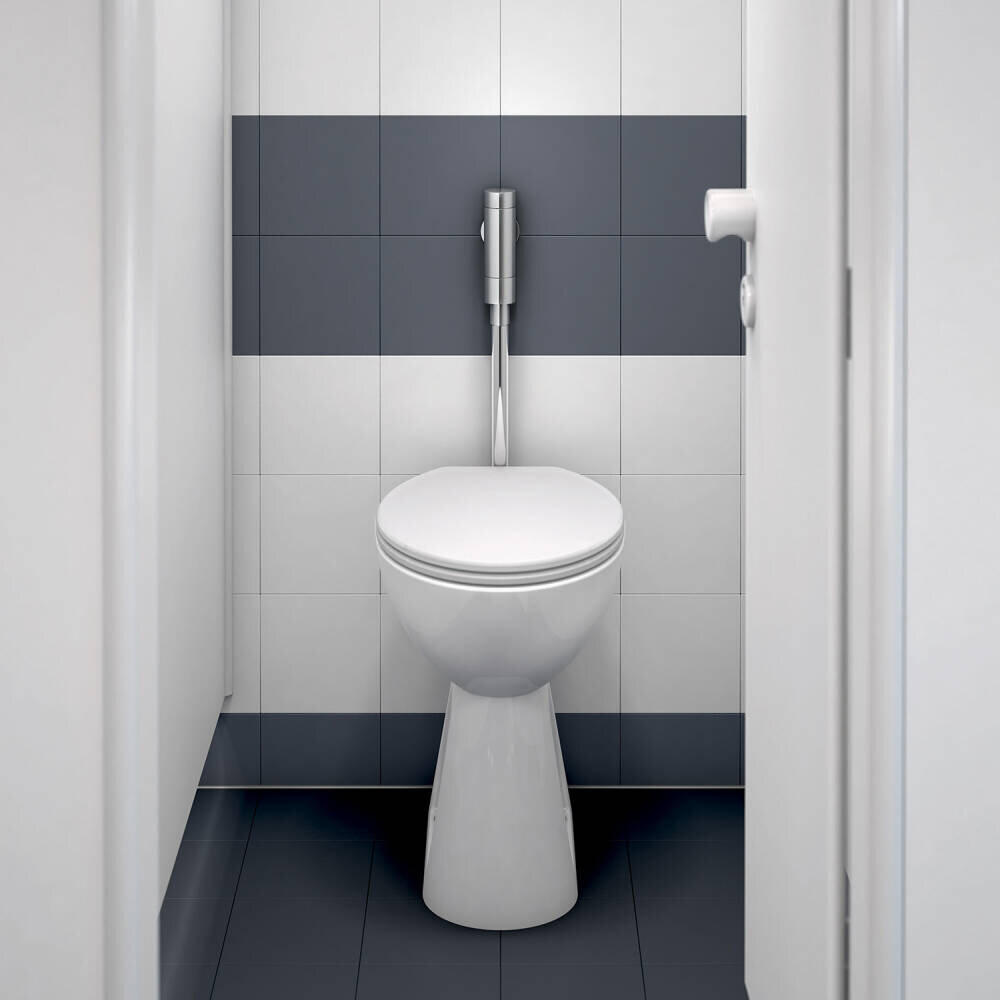Сантехника тут унитаз. Смывной кран Schell Schellomat WC-Spülarmatur 02 238 06 99. Schellomat Basic. Друкшпюлер для унитаза. Кран для смыва нажимной для унитаза.