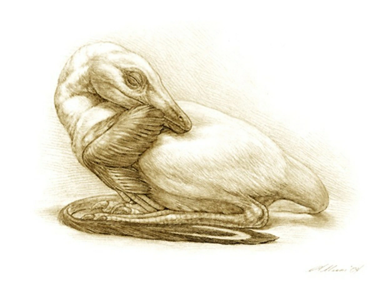 Мэй от Mick Ellison