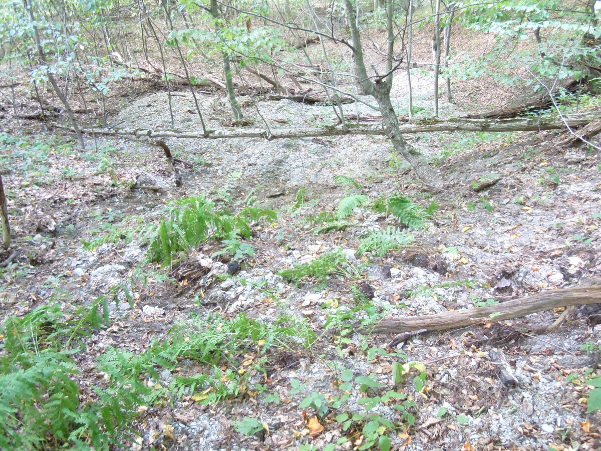 Ранее уже упоминал в другой теме об этом феномене. В 2023 году сделал несколько снимков. Вот самый красивый гладкий участок каменной дороги на пути из станицы Севастопольская к посёлку Победа.-26