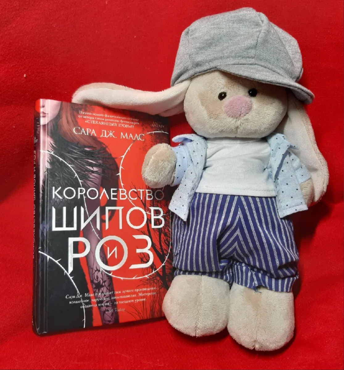 Новенькая книга и прекрасный Клевер)