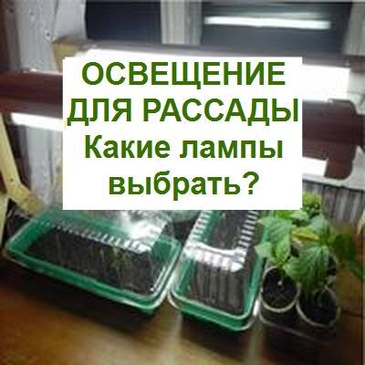 Подсветка для рассады и домашних цветов. Что нужно знать и как организовать